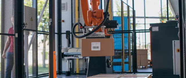 Robot de palettisation et dépalettisation